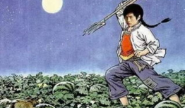 娱乐圈吃瓜的猹小说,瓜田里的明星秘闻